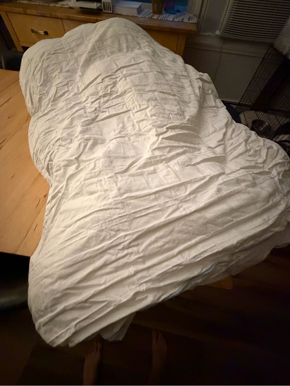 West Elm Down Comforter King size